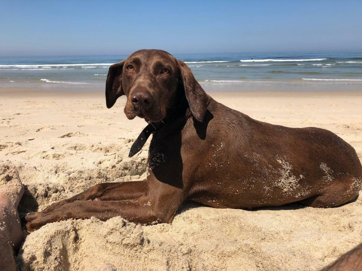 Beachliving Cortegaca Zewnętrze zdjęcie